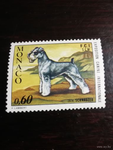 Монако 1973 Собаки