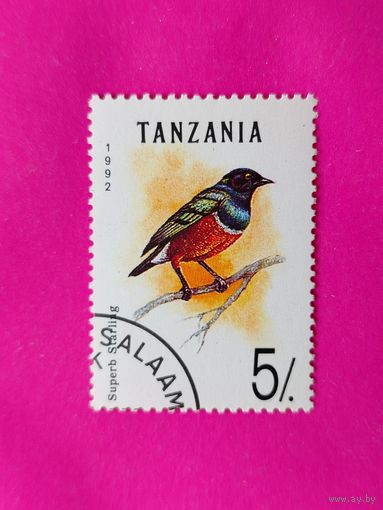Танзания. Птицы. ( 1 марка ) 1992 года. 2-14.