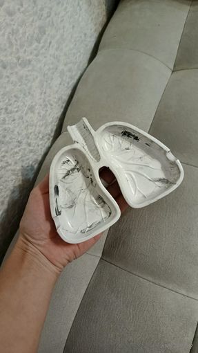 Пепельница лёгкие человека