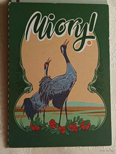 Туристическая карта "Миорского района" Miory карта на английском языке.