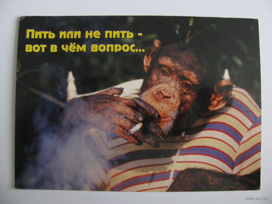 Открытка -Пить или не пить...