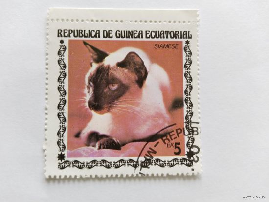 Эк.Гвинея 1972 коты