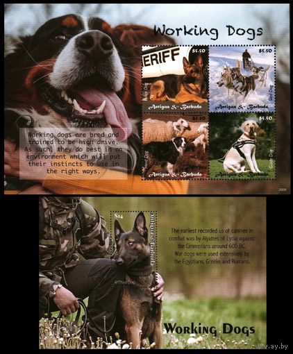 2020 Антигуа и Барбуда 5851-5854KL+B812 Собаки на службе у человека 32,50 евро