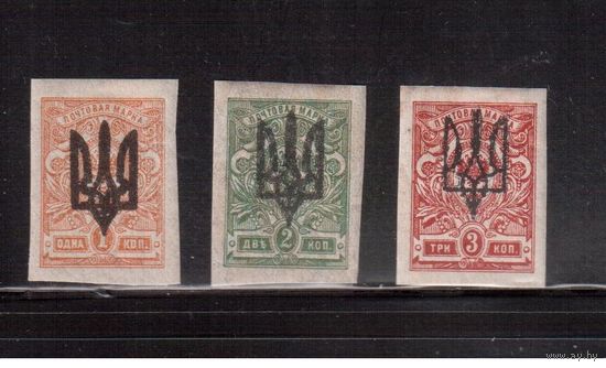 Украина-1919,(Заг.6А-8А)  * , Гражданская война, Украинская Держава, Надп. на марках России