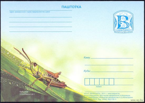 Беларусь 2011 ПК с "В" кузнечик фауна