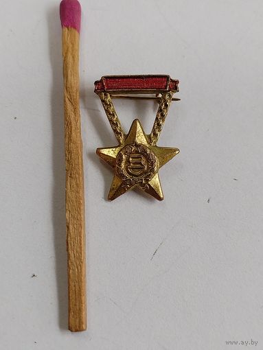 Знак-фрачник ВНР. Отличный работник