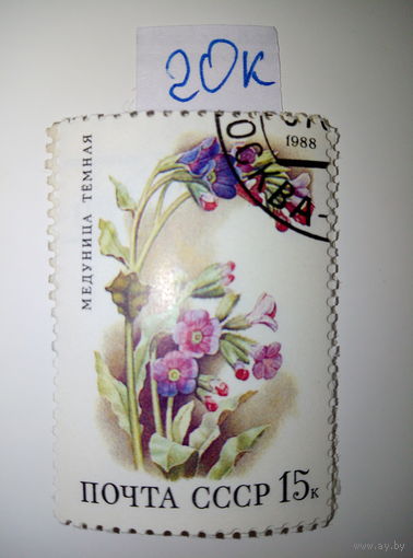 Марки СССР 1988 г. Медуница темная 15к.