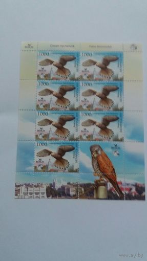 РБ  2010 м/л птица года  К