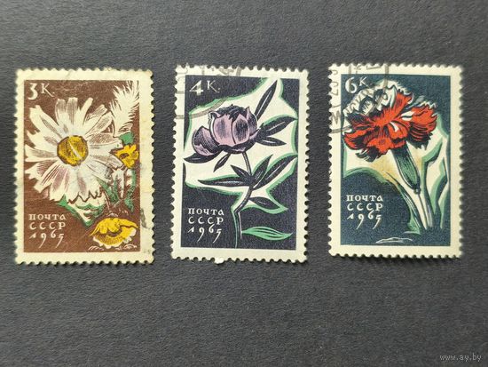 1965 СССР. Цветы