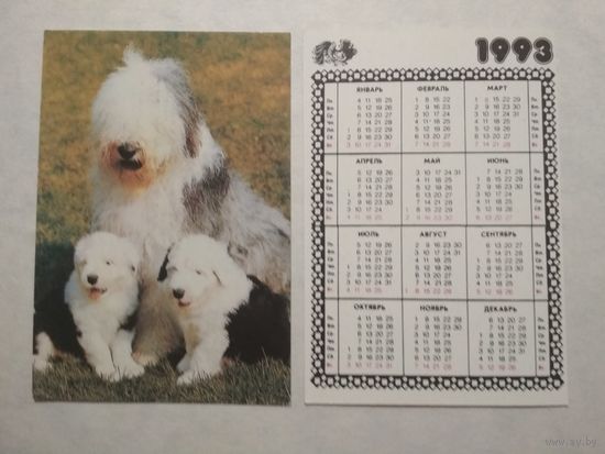 Карманный календарик. Собака. 1993 год