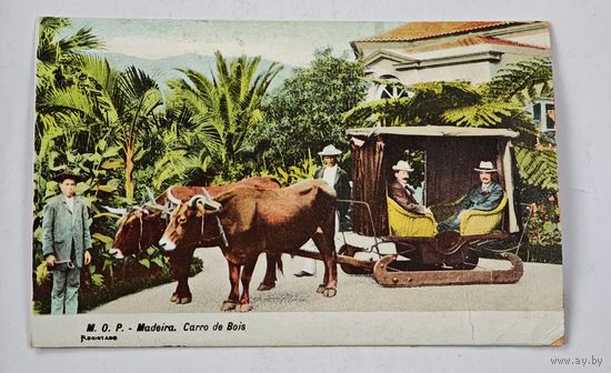 Мадейра Либава до 1917 года Открытка