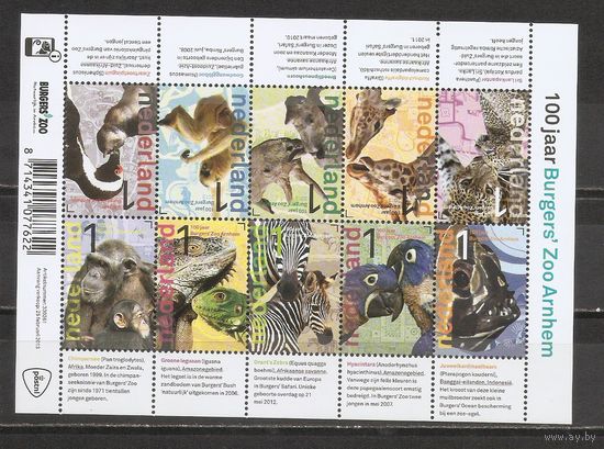 ФФ3 Нидерланды 2013 Фауна