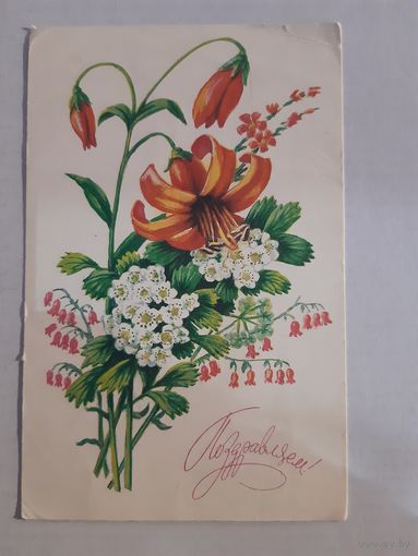 Открытка. Коломец 1985 г.
