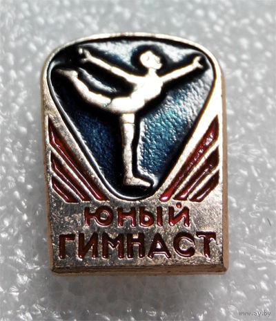 Значок. Юный гимнаст #0084
