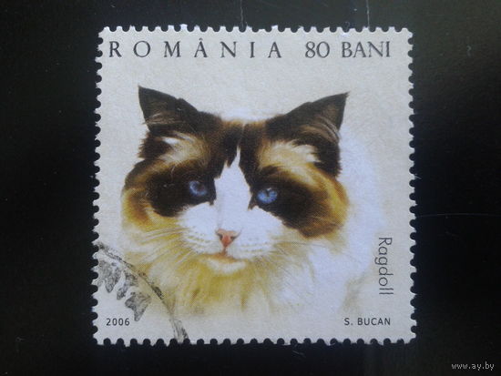 Румыния 2006 кошка