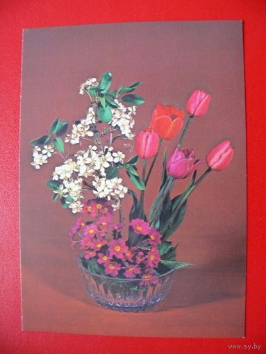 Круцко Б.(фото), Композиция из цветов, 1982, чистая.