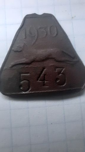 Собачий жетон