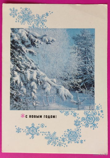 С новым годом! Чистая. 1970 года. Фото Костенко. 2463.