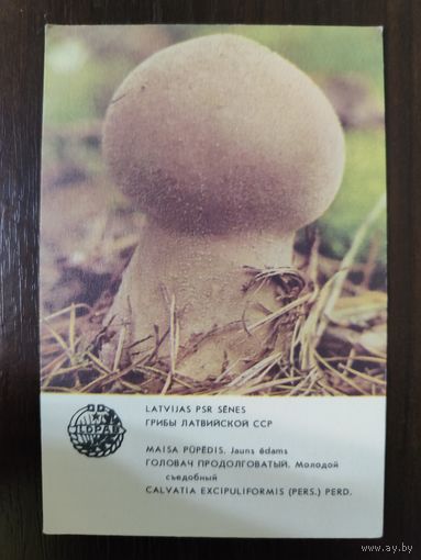 Календарик Прибалтика Головач