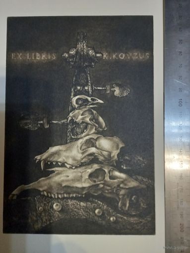 Гравюра Черепа K.Kovzus