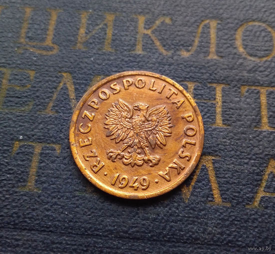 5 грошей 1949 Польша Br #01 XF