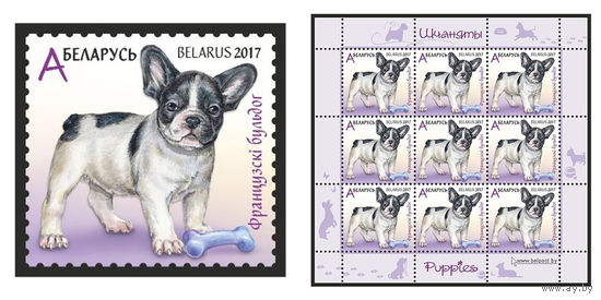 2017 БЕЛАРУСЬ  марка или малый лист  "Французский бульдог" MNH