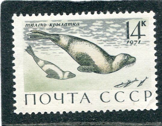 СССР 1971. Морская фауна. Тюлени
