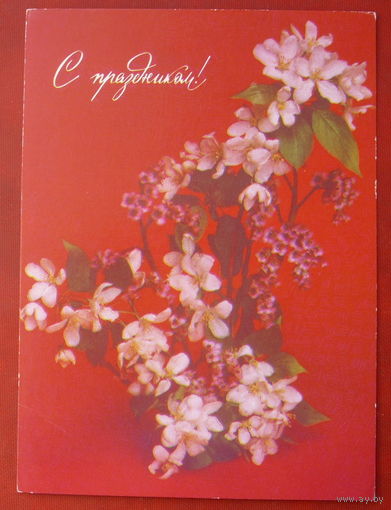С праздником! Чистая. 1990 года. Агладзе. #244.