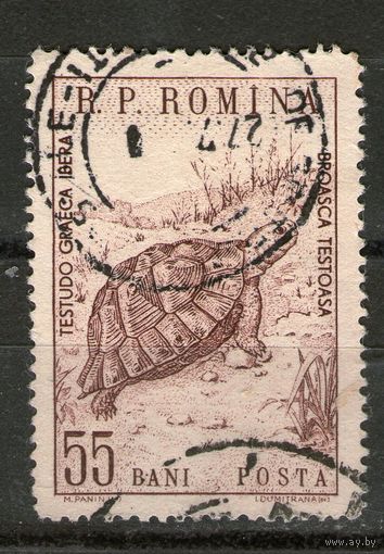 Румыния. Михель- 1834. Гашеная.
