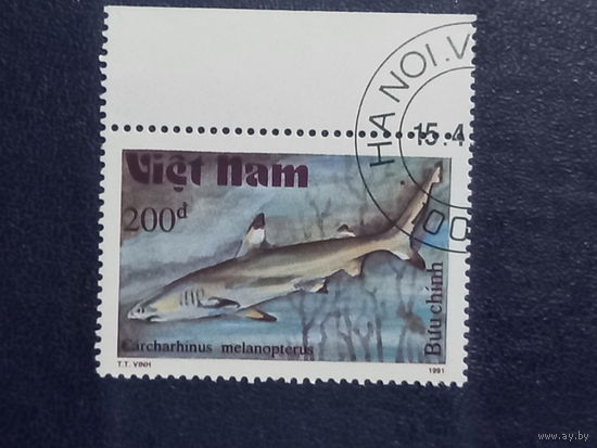 Вьетнам. 1991г. Акула
