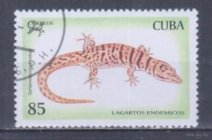 [1071] Куба 1994. Фауна.Ящерица. Гашеная марка. 3