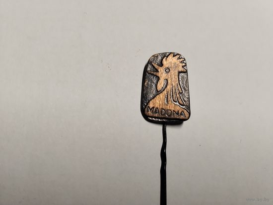 Латвия город Мадона