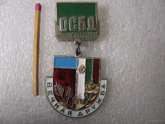 Знак. ОСБД КОМИ отделение "Вечная дружба". 1971