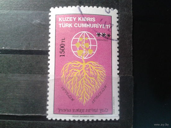 Турецкий Кипр, 1991. Юбилеи и события, символика