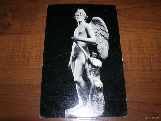 Эрмитаж Амур чистая