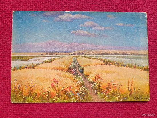 Поле. Вржещ. Царская открытка. Чистая. Кр1.