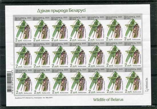 Беларусь 2025. Стандарт. Фауна. Кузнечик. Номинал 2 руб. Заказ 366ц-2025. Лист