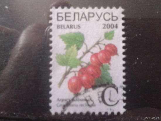 2004 Стандарт, крыжовник
