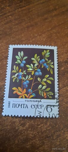 СССР 1982. Голубика. Марка из серии