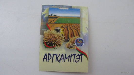Г. Лида Дожинки 2010 Бэйджик Оргкомитет