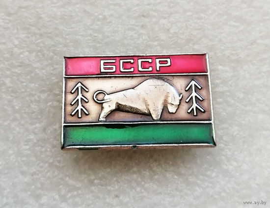 БССР. Зубр. Флаг. Белоруссия #0837-CP15