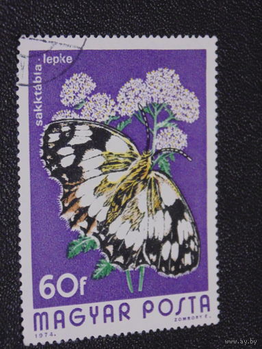 Венгрия 1974 г. Галатея.