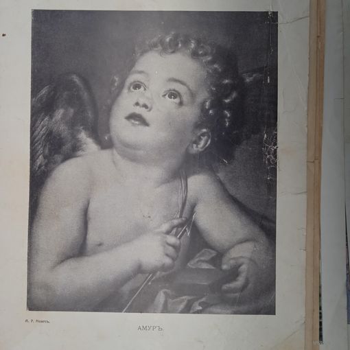 АМУРЪ. Гравюра энциклопедическая 19-20век. 27х20см. СПБ.   РАСПРОДАЖА КОЛЛЕКЦИИ.