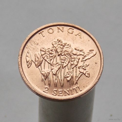 Тонга 2 сенити 1981