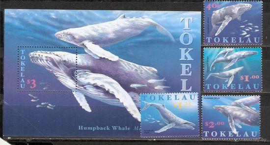 ФФ1 Токелау 1997 Киты