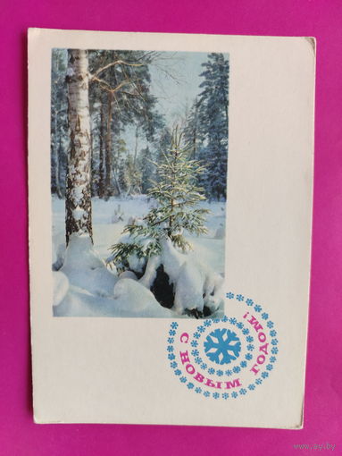 С новым годом! Чистая. 1967 года. Фото Матанова. 2464.