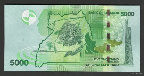 Уганда 5000 шиллингов 2019 года. Тип P-51. Состояние UNC