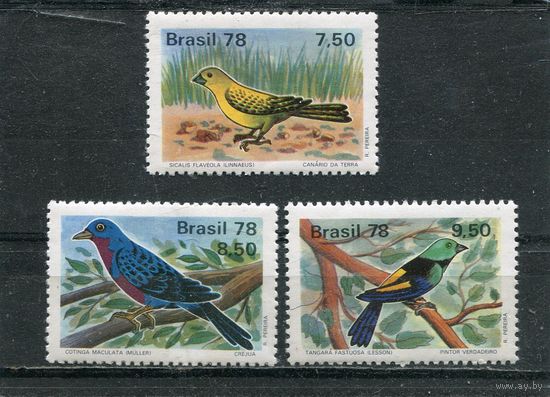 Бразилия. Фауна. Птицы