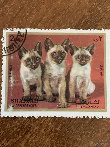 Шарджа 1972. Котята. Марка из серии