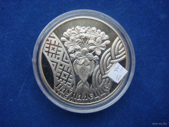 1 рубль 2010 г. Совершеннолетие
